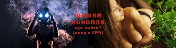 ГАЛЛЮЦИНОГЕННЫЕ ГРИБЫ Кохма