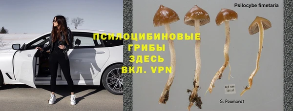 ГАЛЛЮЦИНОГЕННЫЕ ГРИБЫ Переславль-Залесский