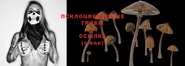 ГАЛЛЮЦИНОГЕННЫЕ ГРИБЫ Кохма